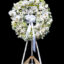 Vòng Hoa Tang Lễ Lan Hồ Điệp Sang Trọng, hoa tang lễ sang trọng